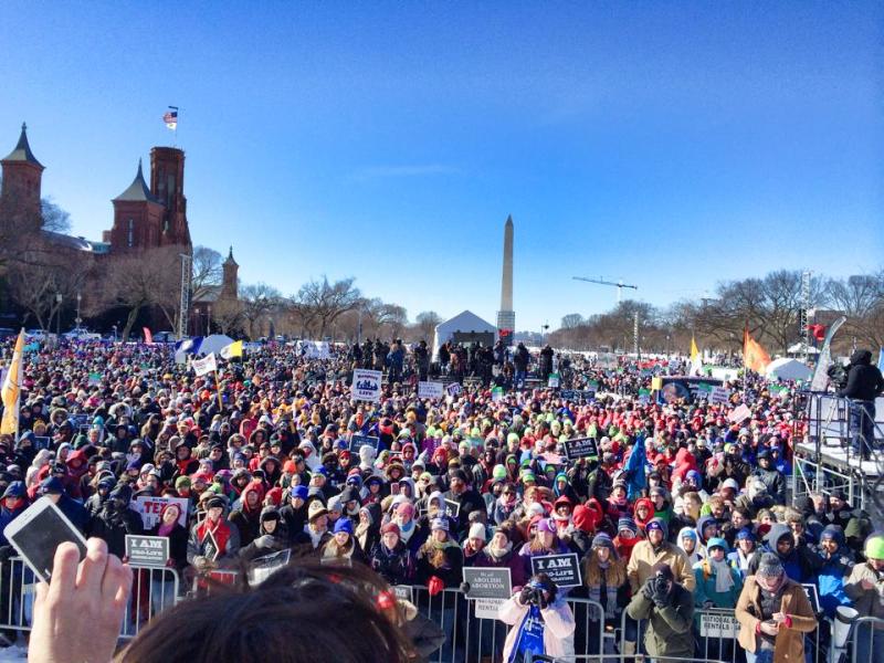 March for Life 2014