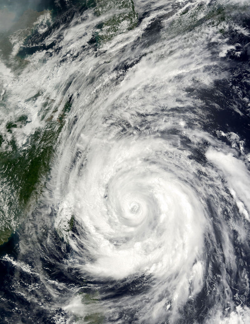 typhoon rammasun 2002