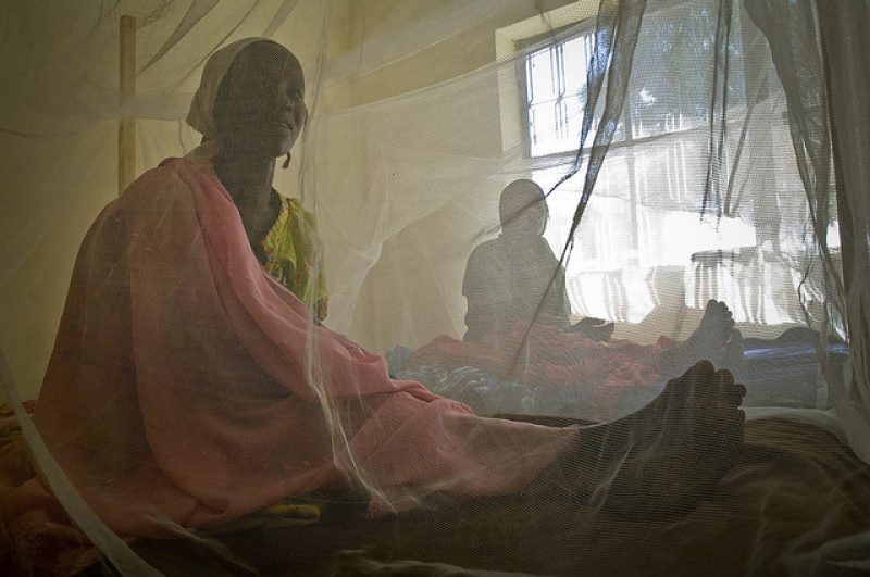 Darfurian refuge behind mosquito net