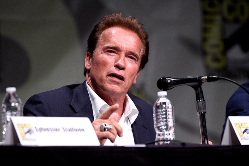 Arnold Schwarzenegger Attends Comic-Con