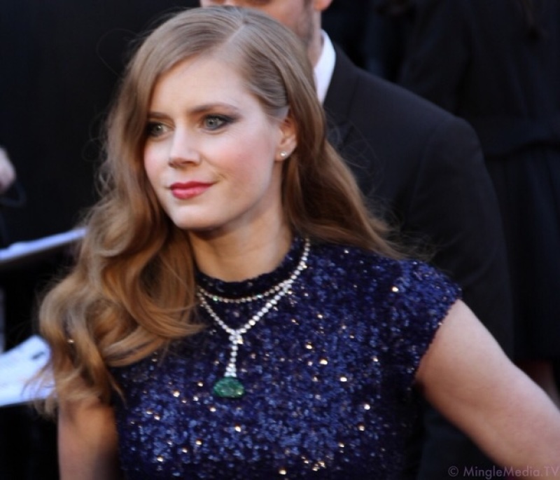 Amy Adams Attends Academy Awards