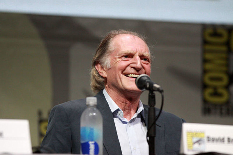 David Bradley