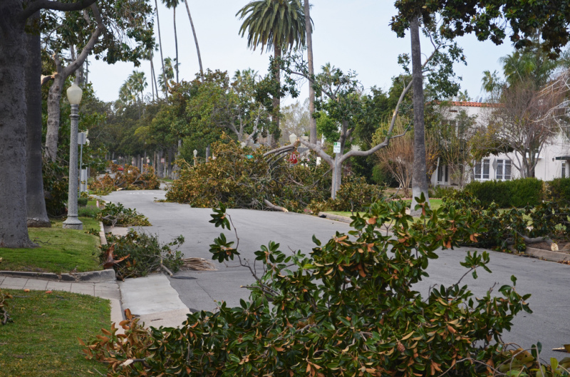 Southern California Wind storm