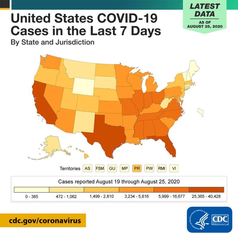 COVID-19 case reports by state