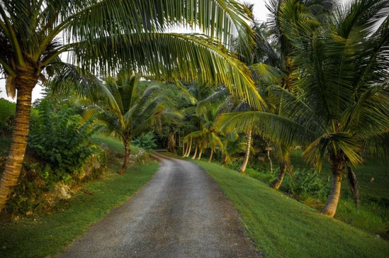 road in Jamaica