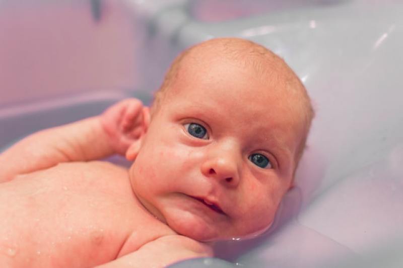 Newborn baby given a bath for the first time