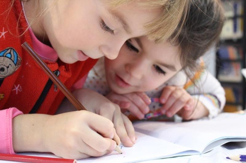 children studying in school