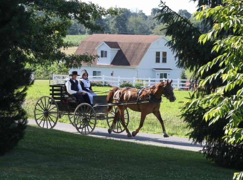 Amish man and woman riding a horse-driven carriage