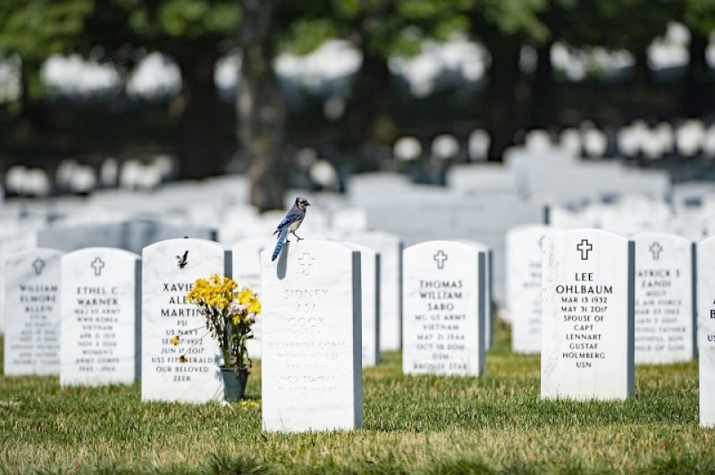 Arlington National Cemetery