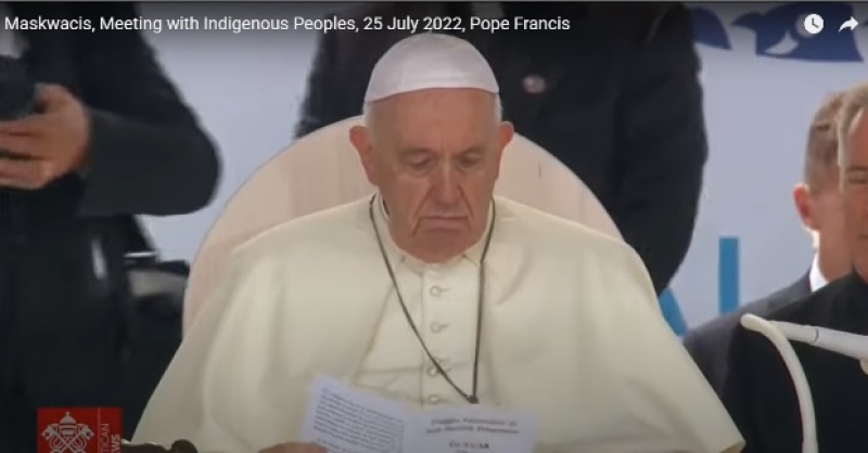 Pope Francis Says Sorry for Christians’ Role in ‘Forced Assimilation’ of Canadian Indigenous Schoolchildren