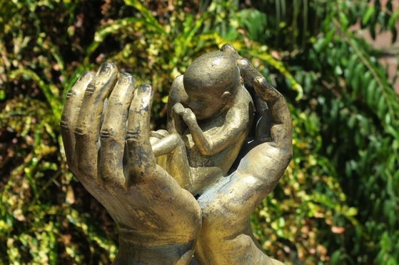 Abortion Debate